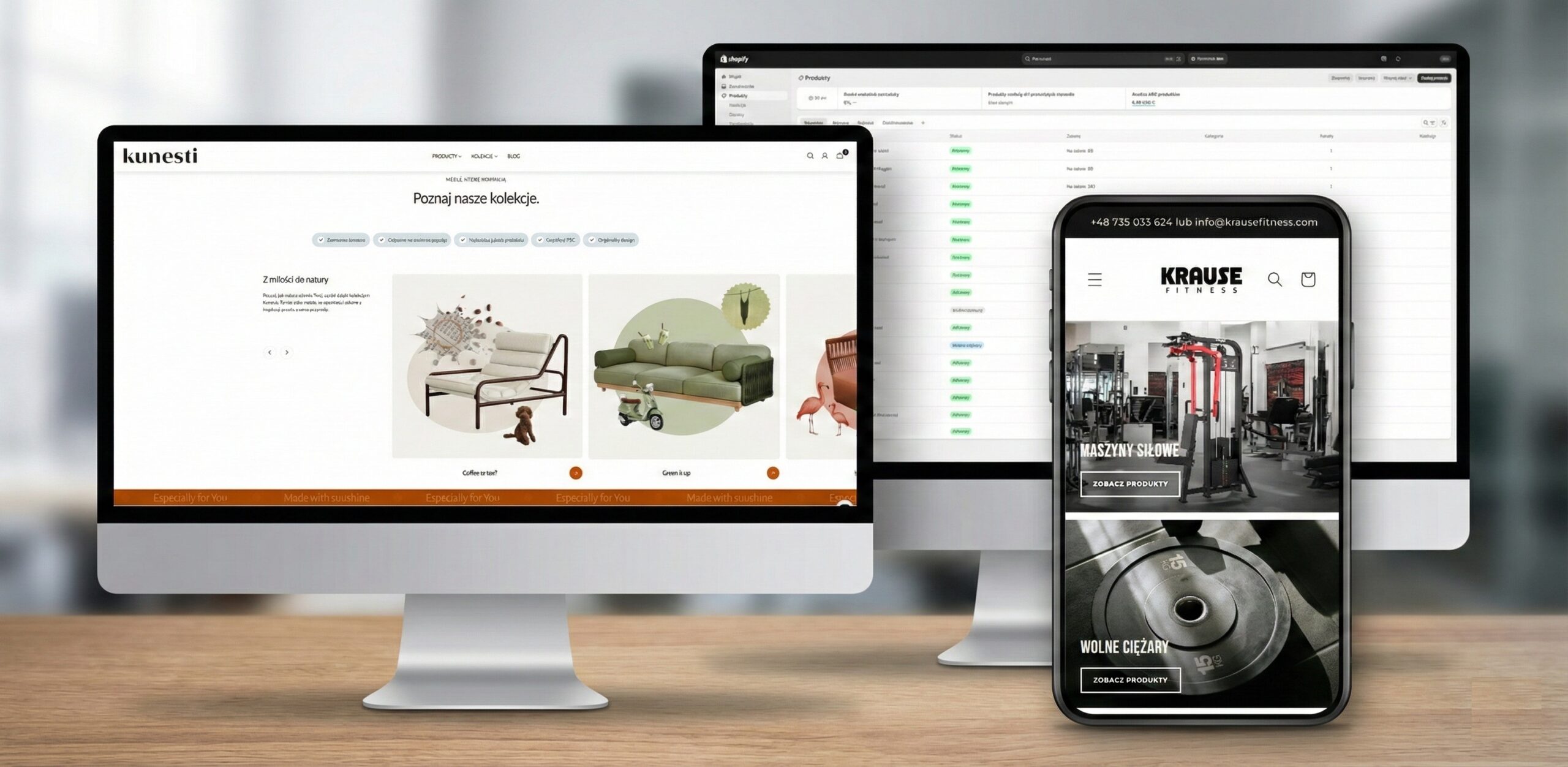 Shopify admin panel - products and orders view